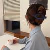 Atoden Hair Clips for Women 3Pcs Matte Claw Clips Large for Thick Hair Flat Hair Clips Alligator Hair Clips view 2