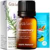 Bergamot & Rosemary Essential Oil Set - Aromatherapy Grade Essential Oils Set - 2x0.34 fl oz - Gya Labs view 3