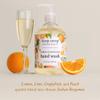 Deep Steep Liquid Hand Wash, 17.6 Ounces (Citrus Champagne) view 3