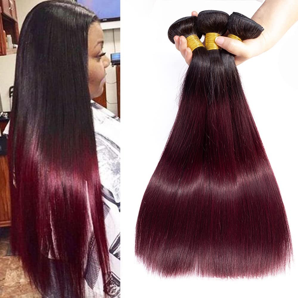 #1B/99J Ombre color 100% Human Hair Bundles 1B 99J Straight Hair Bundles Brazilian Virgin Hair Weave Red Wine Human Hair Queen Hair Products (20 22 22inches, #1B/99J Color)