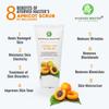 Gentle Exfoliating Apricot Scrub For Black Heads Removal, Clear Dead Skin Cells With Moisturzing Effect | 50GM (Medium) view 3