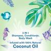 Suave Kids Naturals 3in1 Shampoo Conditioner Body Wash Kids 3 in 1 with Coconut Oil Dermatologist-Tested and Tear-free Shampoo Conditioner Bodywash 16.5 oz view 3