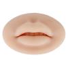 3D Flexible Mouth Silicone Lips, Makeup Lip Practice Skin Fake Skin Realistic Lip Practice Module for Makeup Lips Skin Practice Soft Practice Skin for Tattooing Artists(Dark view 1
