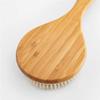 Sxdthy Shower Brush,Bristle Bath Brush Long Handle Wooden Bristles Soft Hair Rub Back Shower for Wet or Dry Brushing view 4