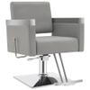 BarberPub Classic Recline Hydraulic Barber Chair Salon Spa Chair Hair Styling Beauty Equipment 3021 (Grey) view 1