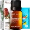 Cedarwood & Organic Rosemary Essential Oil Set - Essential Oils Set - 2x10ml - Gya Labs view 2