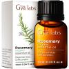 Cedarwood & Organic Rosemary Essential Oil Set - Essential Oils Set - 2x10ml - Gya Labs view 3