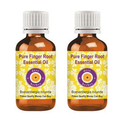 Deve Herbes Pure Finger Root Essential Oil (Boesenbergia rotunda) Steam Distilled (Pack of Two) 100ml X 2 (6.76 oz)
