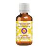 Deve Herbes Pure Finger Root Essential Oil (Boesenbergia rotunda) Steam Distilled 5ml (0.16 oz) view 1