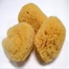 3pcs/Set 100% Natural Sea Sponge Facial Puff, Soft and Deep Clean Your Face Without Hurting Your Skin, Pure Sea Facial Puff.2.5"-3" Assorted Size. view 2