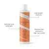 Bouclme Seal + Shield Conditioner - Hydrating Conditioner to Protect Against Humidity - 97.14% Naturally Derived Ingredients and Vegan - 10.1 fl oz view 3