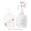 100% PURE Kelp & Mint Volumizing Conditioner Moisturizer & Deep Hydration - Botanical Body Boost for Dry, Damaged Thinning Hair, Promotes Healthy Growth for Women & Men - Sulfate Free - 16 Fl Oz view 4