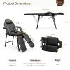 Paddie Portable Tattoo Chair Adjustable Split Legs for Client, Mobile Massage Table Foldable with Storage Bag, Black view 3