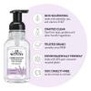 J.R. Watkins Foaming Hand Soap with Pump Dispenser, Moisturizing Foam Hand Wash, All Natural, Alcohol-Free, Cruelty-Free, USA Made, Lavender, 9 fl oz, 3 Pack view 2