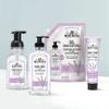 J.R. Watkins Foaming Hand Soap with Pump Dispenser, Moisturizing Foam Hand Wash, All Natural, Alcohol-Free, Cruelty-Free, USA Made, Lavender, 9 fl oz, 3 Pack view 3