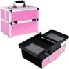 Professional Aluminum Makeup Train Case  Lockable Cosmetic Organizer with 2 Extendable Trays & Deep Bottom Storage. Portable Hard Shell Travel Storage for Nail Art & Jewelry. Ribbed Pink view 1