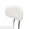 KTY Round Shape Adjustable Salon Stool with Back and Line White view 3