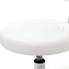 KTY Round Shape Adjustable Salon Stool with Back and Line White view 4