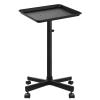 Salon Tray on Wheels, Metal Feet Salon Tray Cart, Salon Rolling Tray with Adjustable Height, Dentist Tray, Tattoo Tray for Salon and SPA Use view 1