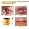 2 Pcs Lip Balm Honey Pot,Honey Propolis Lip Mask Hydrating & Prevention Dry and Cracked Lip Scrubs Exfoliator view 2