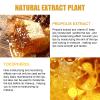 2 Pcs Lip Balm Honey Pot,Honey Propolis Lip Mask Hydrating & Prevention Dry and Cracked Lip Scrubs Exfoliator view 3