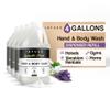 Infuse Hotel Hand & Body Wash | 1 Gallon | For Hospitality & Vacation Rentals to Refill Dispensers | (4 Gallons) view 1
