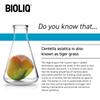 Bioliq - Dermo Cica Cream - Intensive Regeneration After Dermatological Procedures, Soothing, Moisturizing with CICA and Cu-Zn-Mg Complex - 30ml view 2