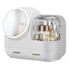 DKULMN Makeup Organizer with LED Light and Mirror, Cosmetic Display Cases with Brush and Lipstick Organizer for Bathroom Countertop, Desk, Dresser,White view 1
