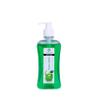 Advanced Skincare Moisturizing Liquid Green Apple Hand Wash Dispenser Bottle, Fights 100+ Illness Causing Germs (Medium) view 1