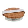 Beavorty 2pcs Dry Skin Brush Skin Exfoliator for Body Massage Tool Meridian Brush and Exfoliation view 4