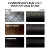 3 in 1 Semi-Permanent Black Hair Dye - 13.5 FL Oz, 100% Grey Coverage, Hair Color Shampoo view 2