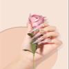 500Pcs Stiletto Nail Tips for Acrylic Nails, XL Long Clear False Nails Tips Soft Traceless, Half Cover Tapered Square False Nail Tips for Nail Extension Nail Art, Home DIY Nail Salon 10 Sizes view 2