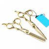 Professional Hair Cutting Shears, 6 Inch Japanese 440C Stainless Steel Professional Hair Scissors Set, Thinning Scissors Set, Barber Shears Kit (Color : Gold) view 3