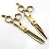 Professional Hair Cutting Shears, 6 Inch Japanese 440C Stainless Steel Gold Hair Scissors Set,Straight Thinning Scissors Set, Barber Shears (Color : Yellow) view 1