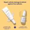 LovelySkin LUXE Exfoliating Gel (19%), Facial Exfoliant with Dead Sea Minerals and Vitamin C, Reduces Fine Lines, Wrinkles and Enlarged Pores, 1 oz view 3