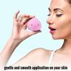 Profusion Cosmetics 2pc Sponge Kit Blender Buddy for Liquid and Powder with Travel Case, Ultra Soft Blending Sponges for Flawless Foundation and Powder Application view 2