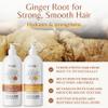 Edenika Botanicals Ginger Shampoo and Conditioner Set, Fortifying Formula with Certified and Organic Ingredients Naturally Nourish, Smooth and Detangle Hair 16oz Each view 2