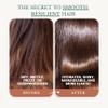 Edenika Botanicals Argan Oil Shampoo and Conditioner Set with Biotin, Repairs Dry & Damaged Hair, Deeply Hydrating & Nourishing, Women & Men, Sulfate-Free, Organic, 16 fl oz Each view 3