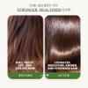 EDENIKA BOTANICALS Tea Tree Oil Shampoo and Conditioner, Soothes Itchy & Dry Scalp, Deep Cleansing for Dandruff & Buildup, Hydrates & Refreshes, Sulfate Free, Women & Men, 16 fl oz Each view 3