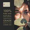 Greenwood Essential Pure Saro Essential Oil (Cinnamosma fragrans) Steam Distilled with Glass Dropper (Pack of Three) 100ml X 3 (10 oz) view 3