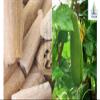 1Pcs Loofah Loofah Natural Organic 100% Egyptian Loofah Sponge Bath Bath Exfoliating Skin 21'' view 2