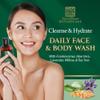 Natural Elements Botanicals Face & Body Wash with Frankincense, Aloe Vera & Salicylic Acid | Soothing, Calming, Anti-Aging, Daily Facial Cleanser | Spa Quality Skincare view 2