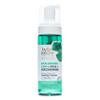 By Nature Foaming Cleanser with Hyaluronic Acid + Cica - Hydrating Face Cleanser For Bright and Fresh Skin - Skincare from New Zealand - 5 fl.oz view 1