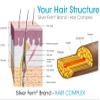 Silver Fern Hair Complex Hair Supplement for Promoting Healthy Hair - Each Bottle Contains 30 Days of Powder Supply - 2 Bottles view 3