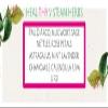 Heal Thy V- Steam | 4.5 OZ | Yumi Yoni Womb Wellness Steams by Flambeaux | Yoni Steam Herbs view 2
