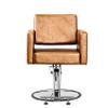 Eastmagic Salon Chair for Hair Stylist Beauty Chair Hydraulic Pump 360 Degrees Swivel with Footrest Gold view 2