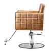 Eastmagic Salon Chair for Hair Stylist Beauty Chair Hydraulic Pump 360 Degrees Swivel with Footrest Gold view 3