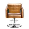 Eastmagic Salon Chair for Hair Stylist Beauty Chair Hydraulic Pump 360 Degrees Swivel with Footrest Gold view 4