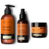 Eve Hansen Classic Vitamin C Allstars Collection | Natural Vit C Face Wash for a Deep Clean (8 oz) | Brightening Moisturizer (4 oz) | Anti Aging Night Repair Cream/Neck Cream (2 oz) for All Skin Types view 1