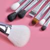 Makeup Brushes Set 16 pcs, Premium Natural Hair Blending, Blush Powder Makeup, Pink Makeup Brush Set, Deluxe Brush Set view 4
